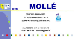 Logo complet IITM Molle Peinture