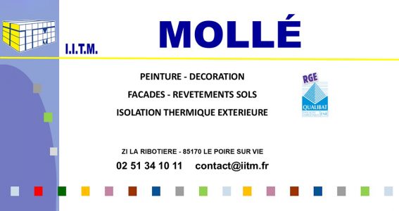 Logo complet IITM Molle Peinture